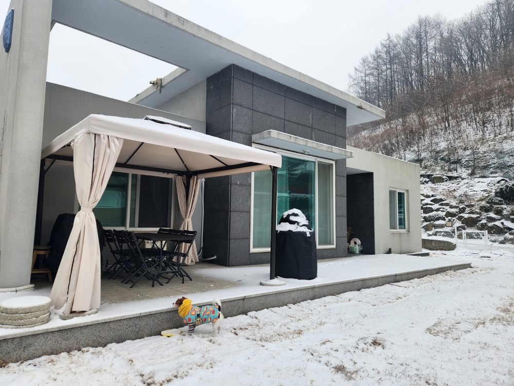 멍굴멍굴 경기 애견여행지