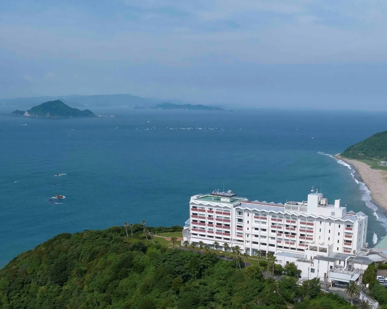 기본 이미지