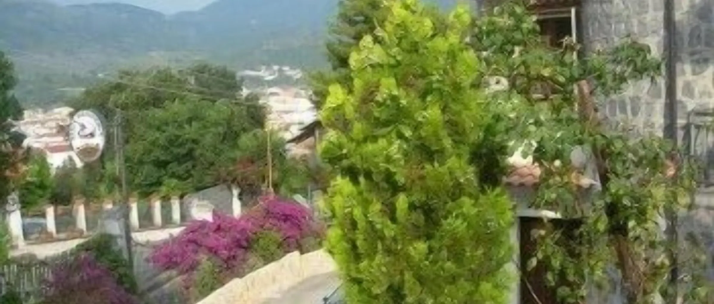 기본 이미지