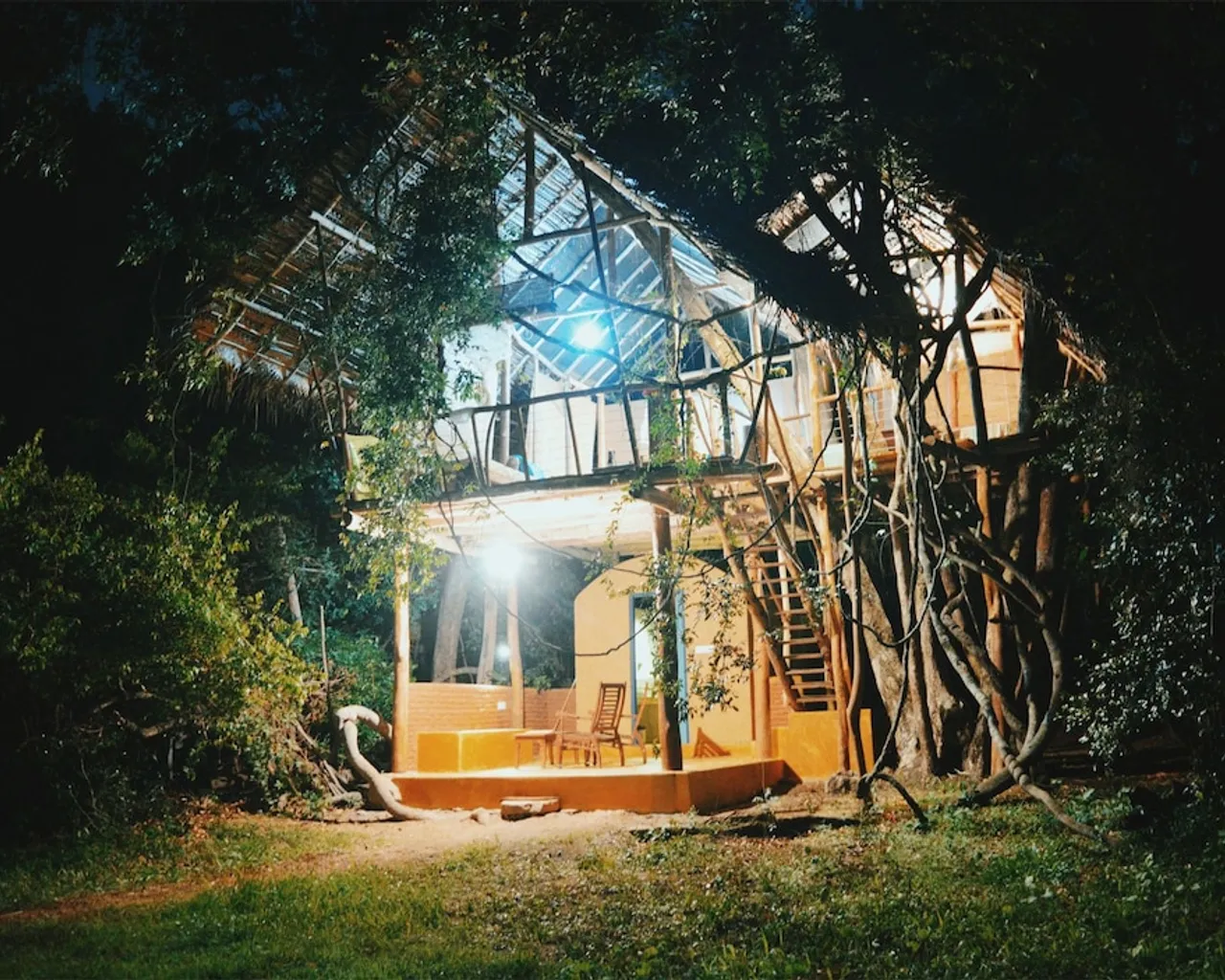 기본 이미지