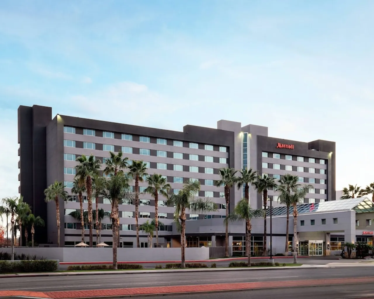 기본 이미지