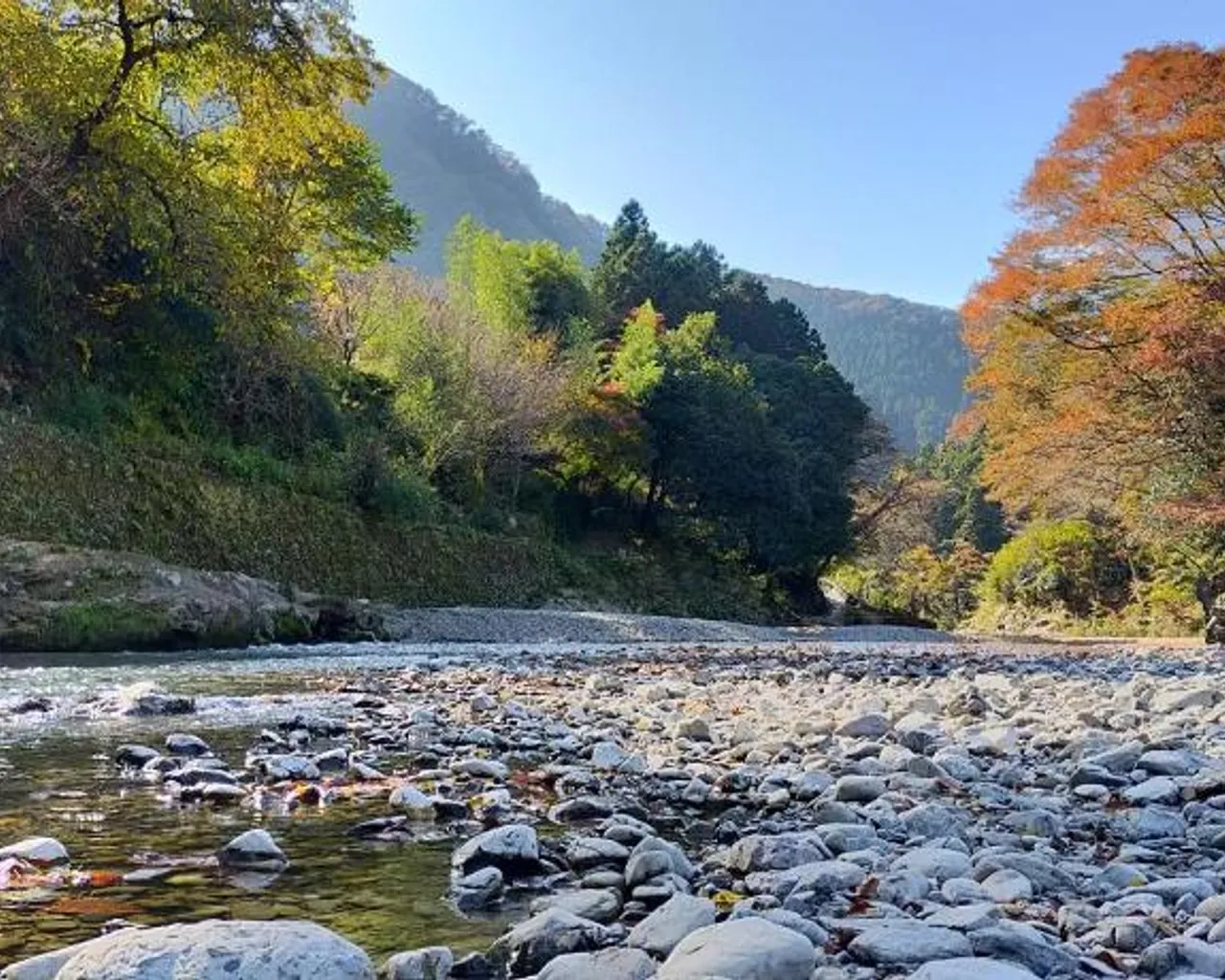 해변