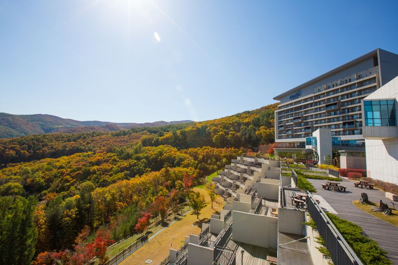 전경