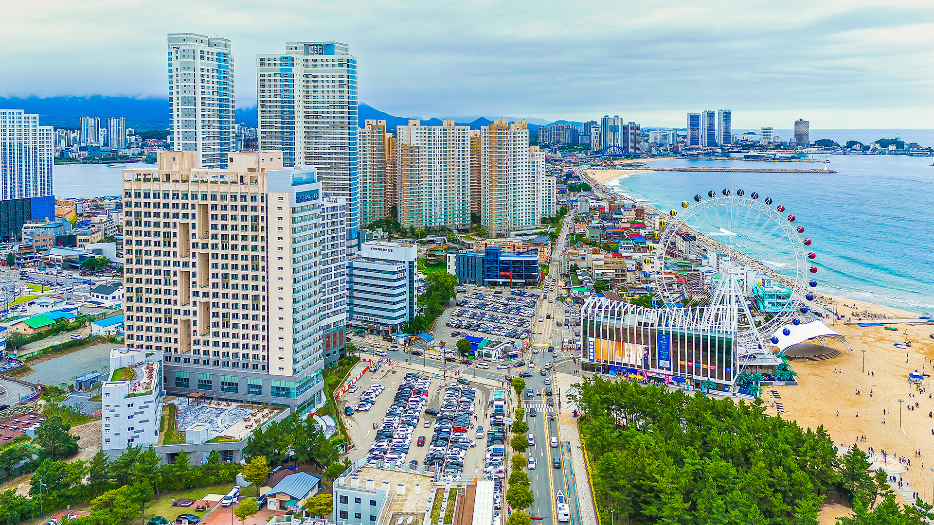 르컬렉티브 속초해변 3