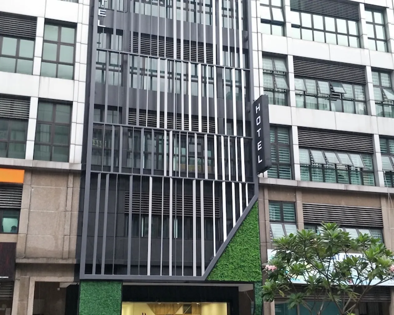 기본 이미지