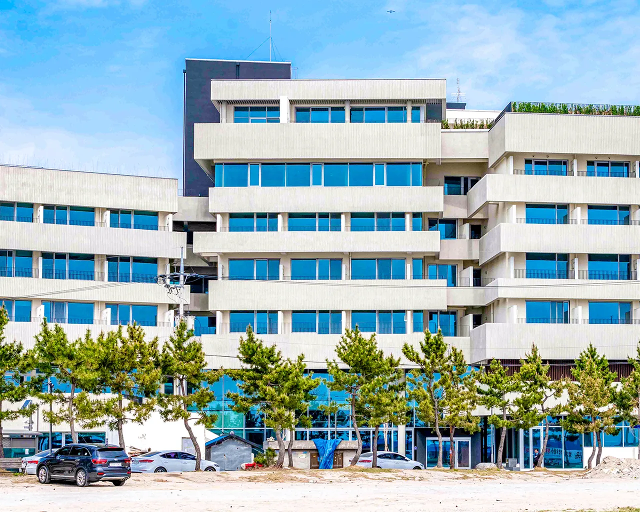 대표 사진