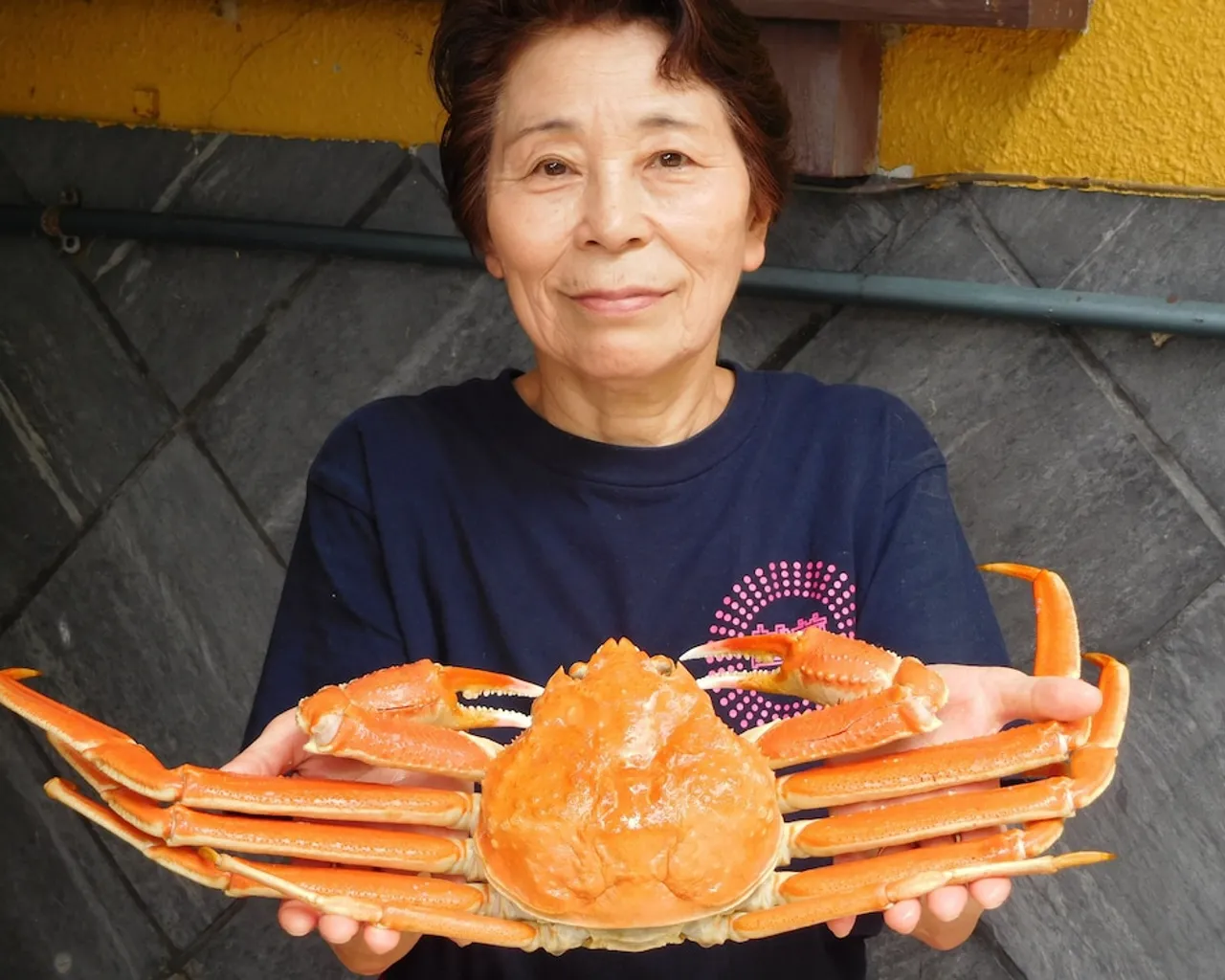 기본 이미지