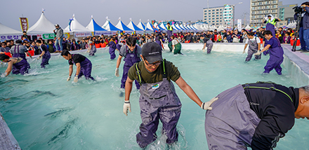 2024 제주 방어축제 I 제철 정보, 서귀포시 가볼만한 곳, 리조트 숙소 추천 대표 이미지