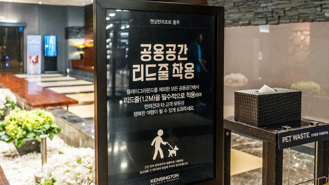 켄싱턴리조트 충주 사진