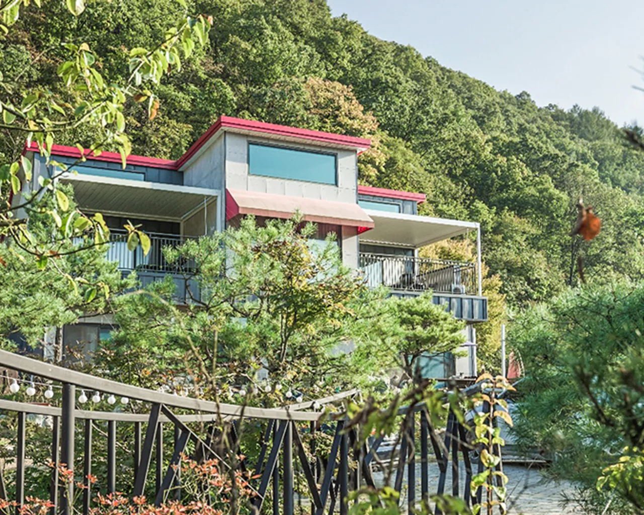 대표 사진