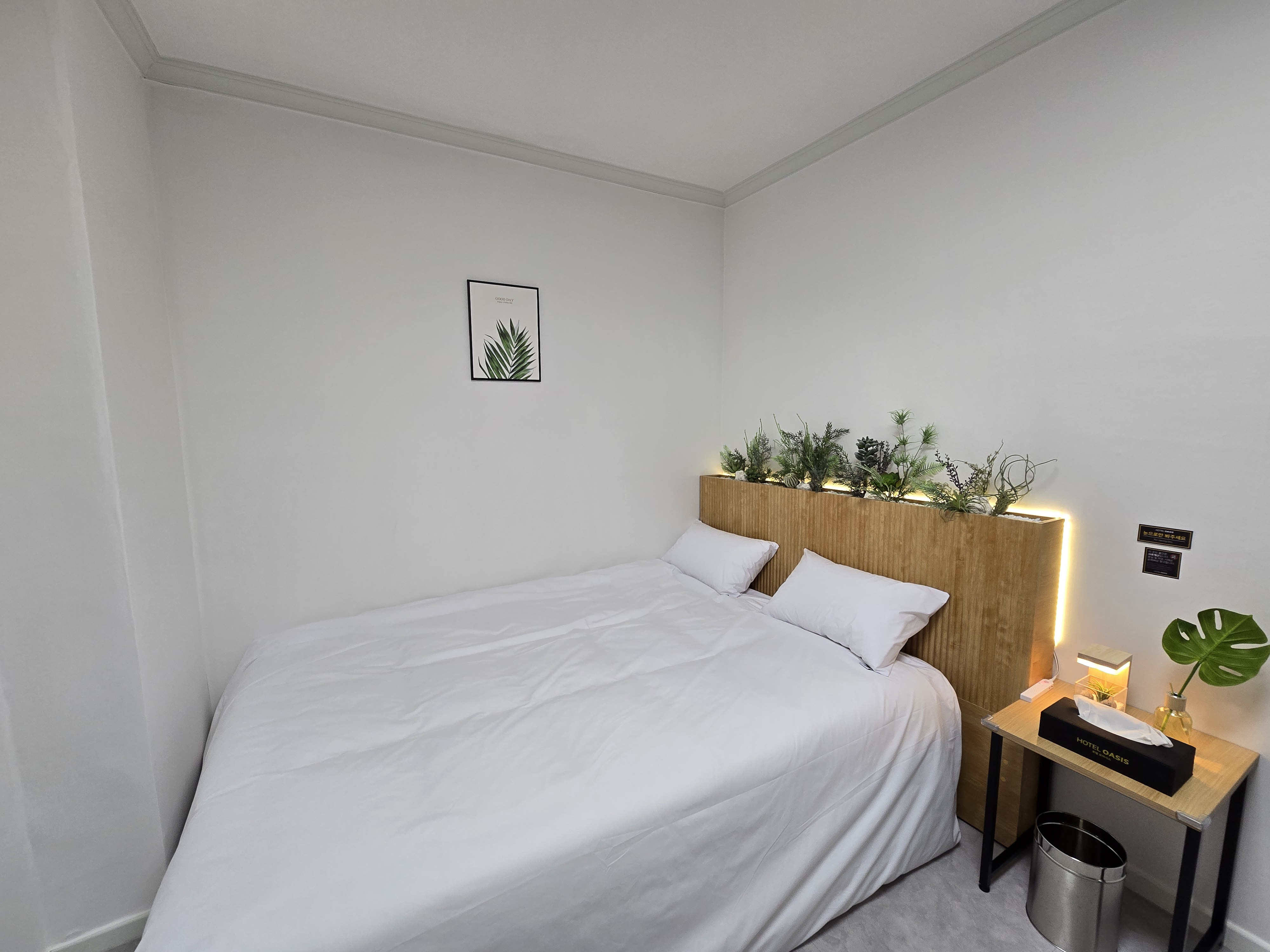 속초 호텔 오아시스 5