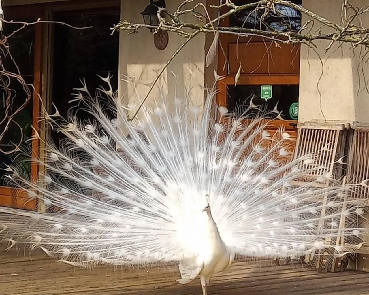 기본 이미지