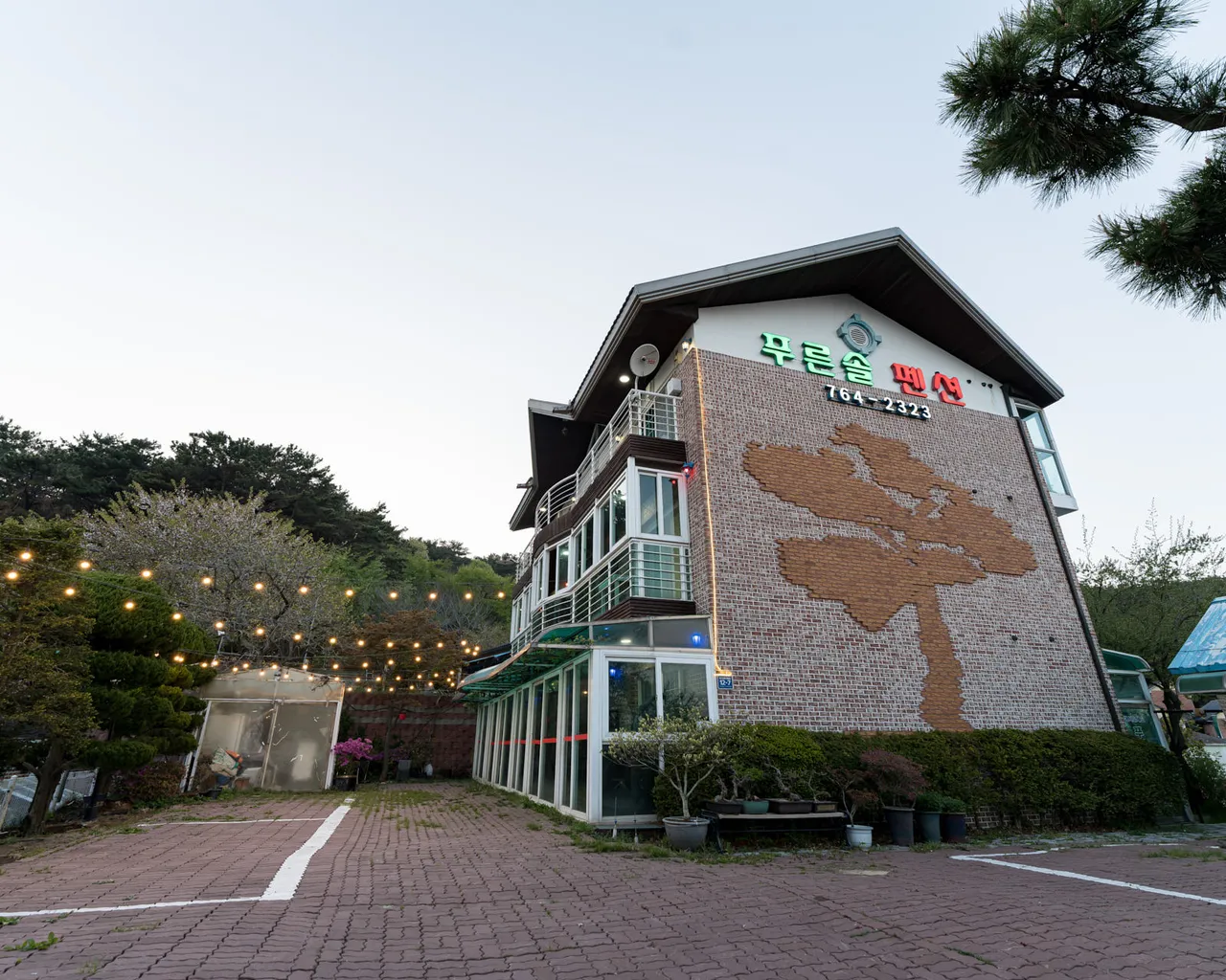 대표 사진