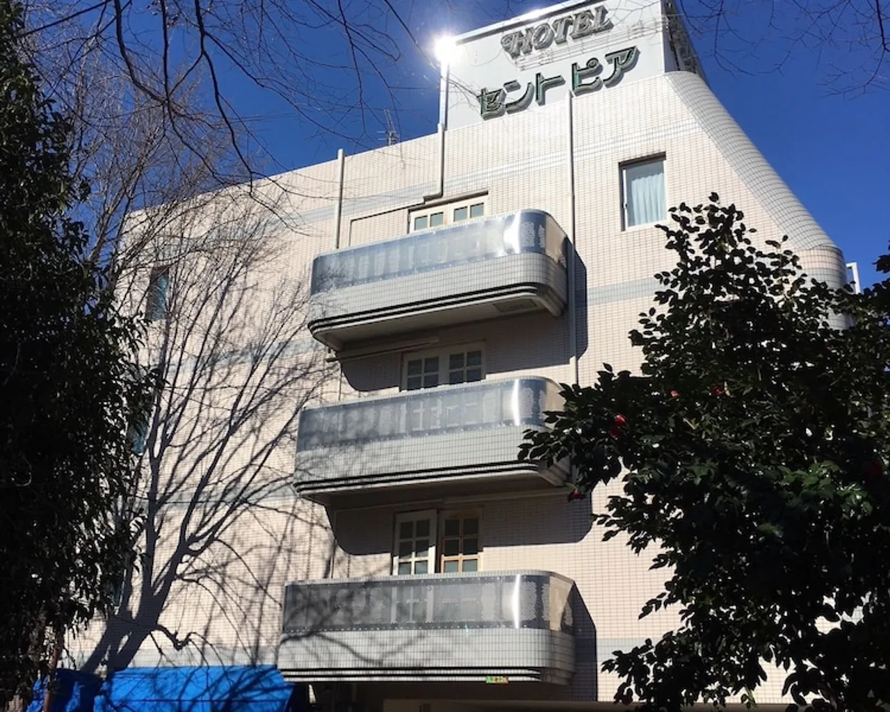 기본 이미지