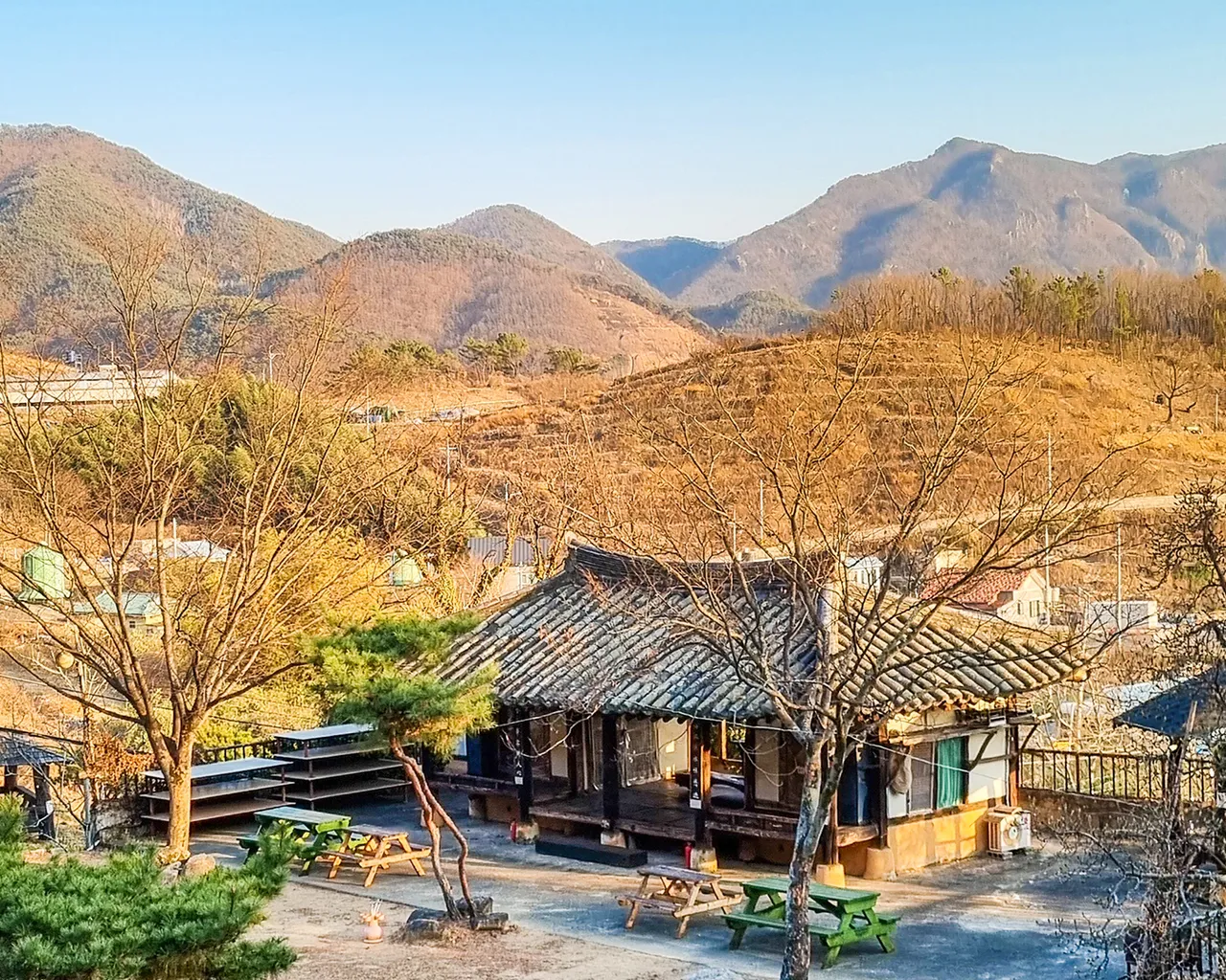 대표 사진