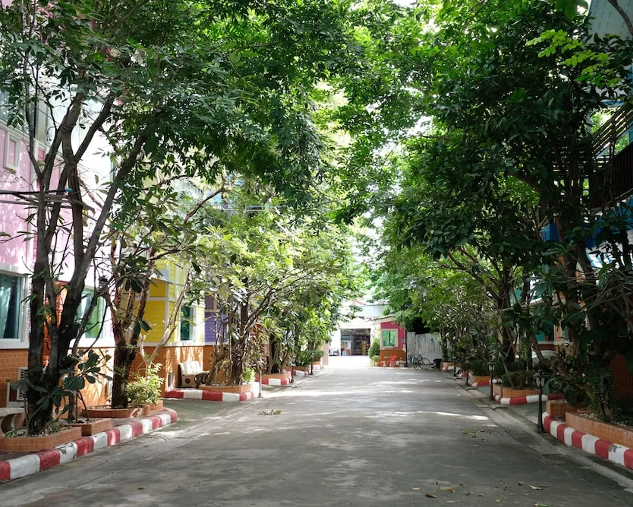 기본 이미지