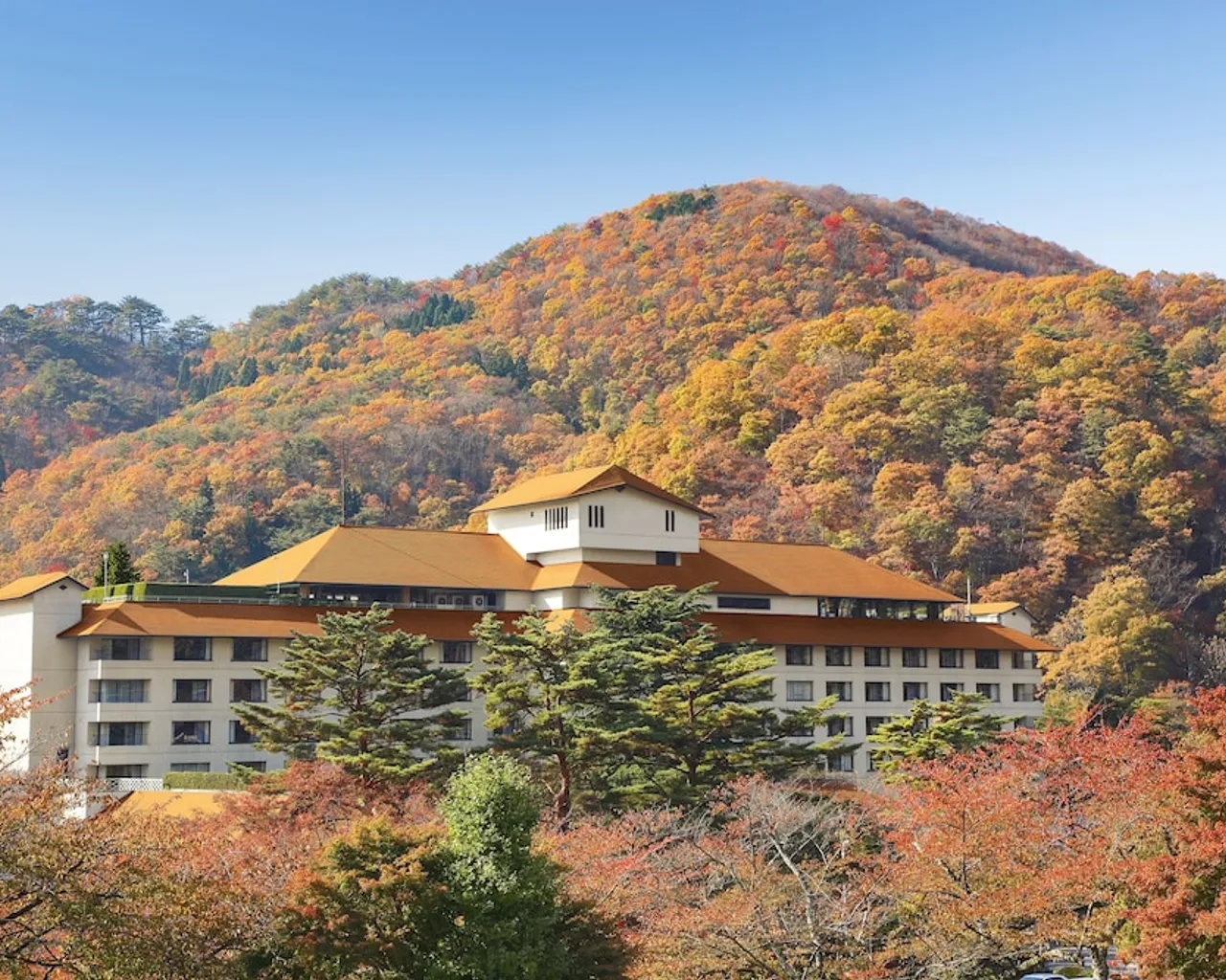 기본 이미지