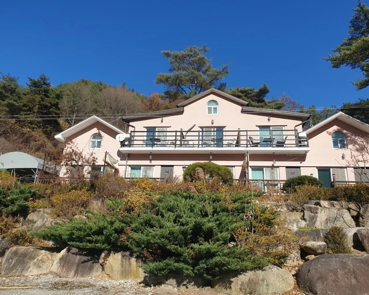 대표 사진