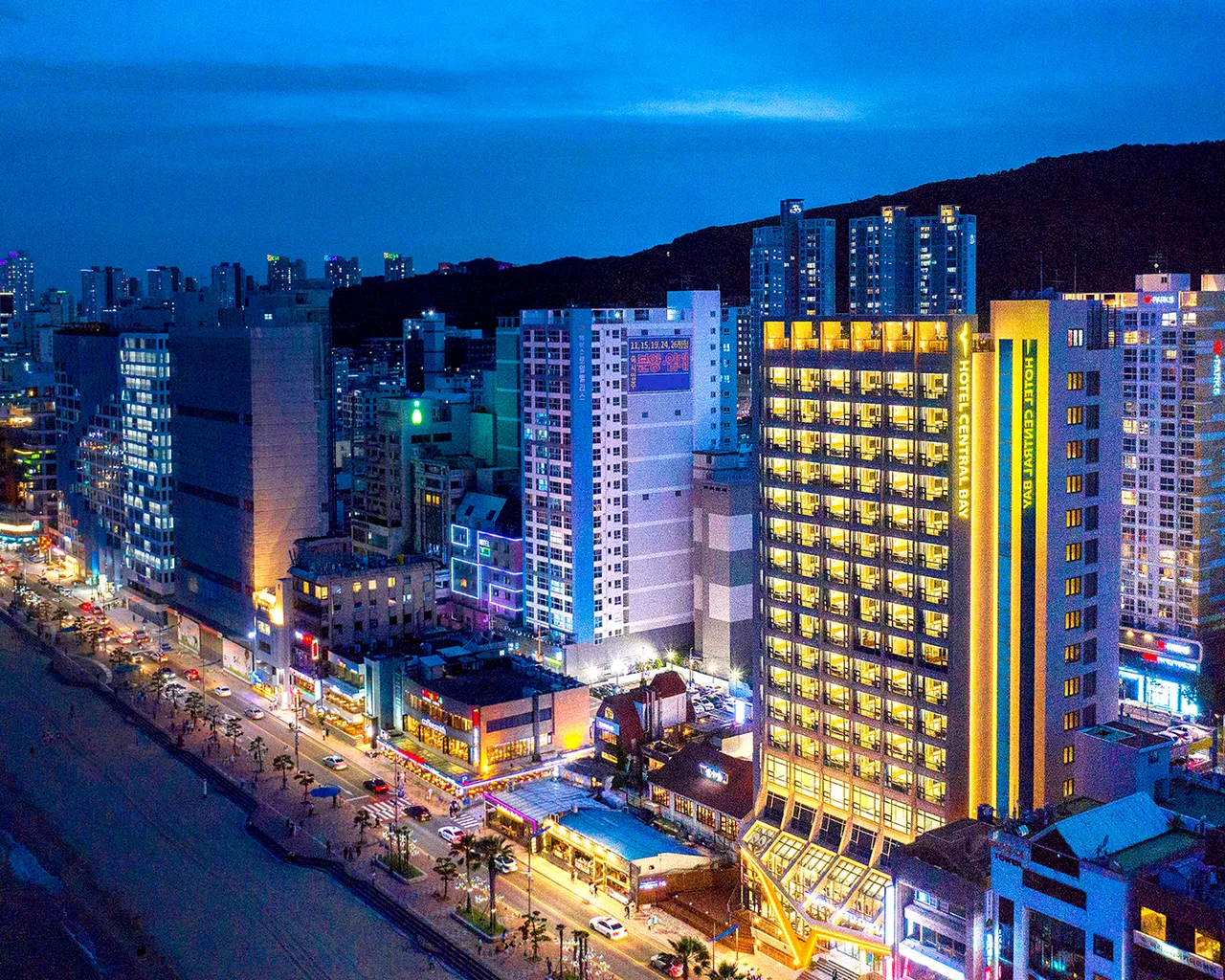 대표 사진