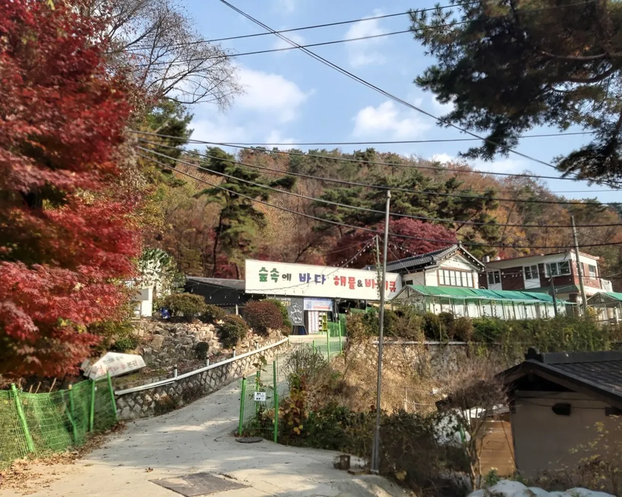 대표 사진