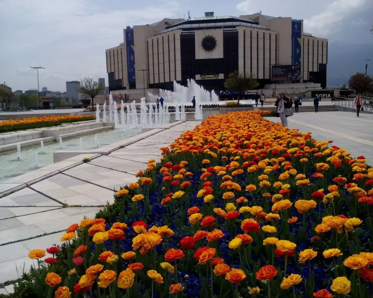 기본 이미지