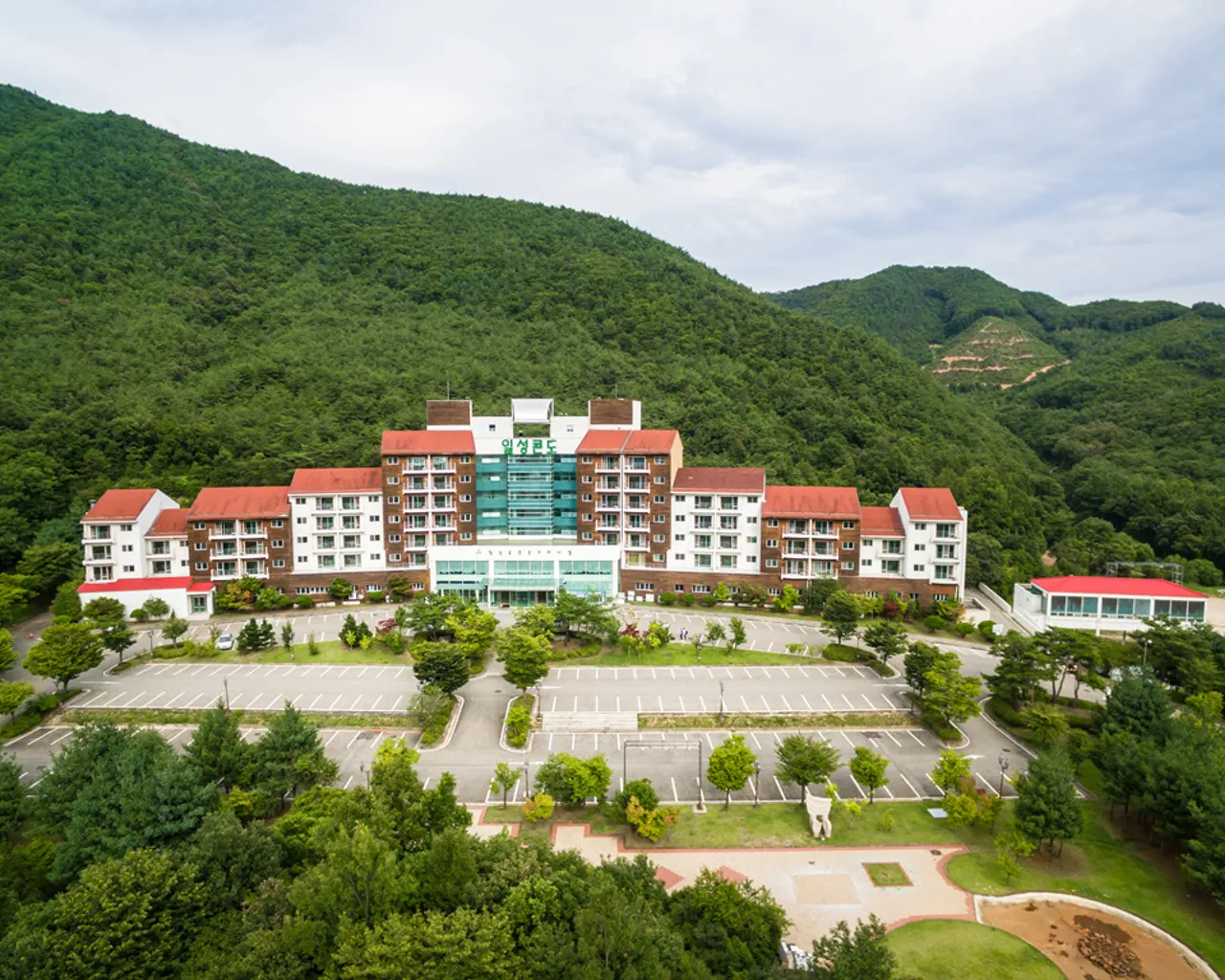 대표 사진