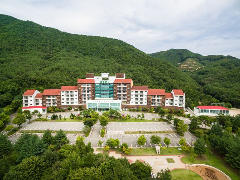 대표사진