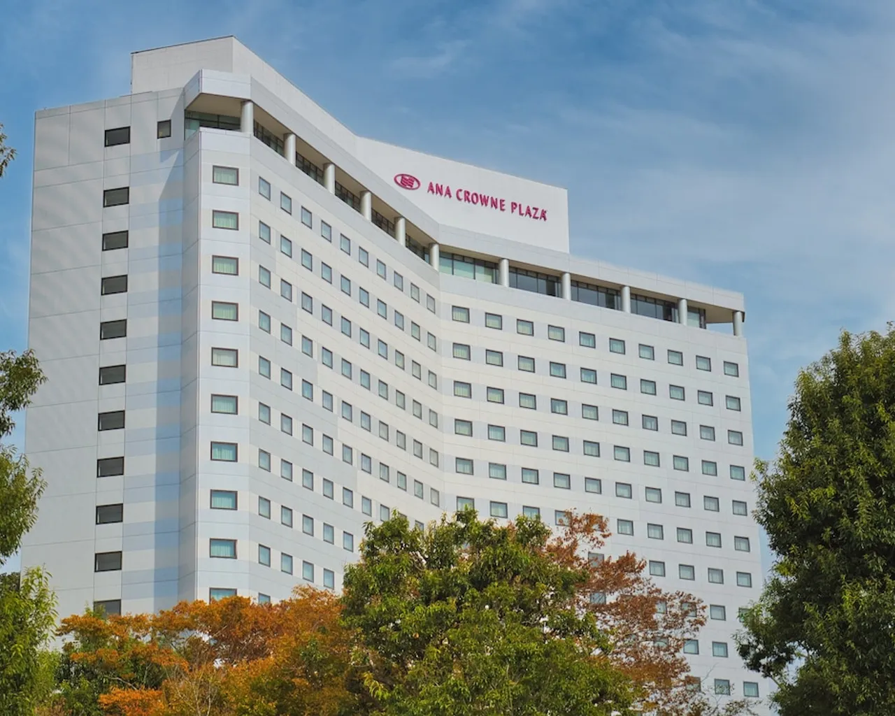 기본 이미지