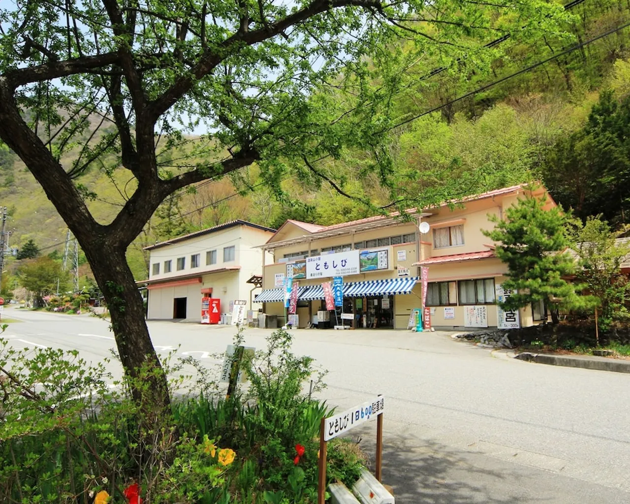 기본 이미지