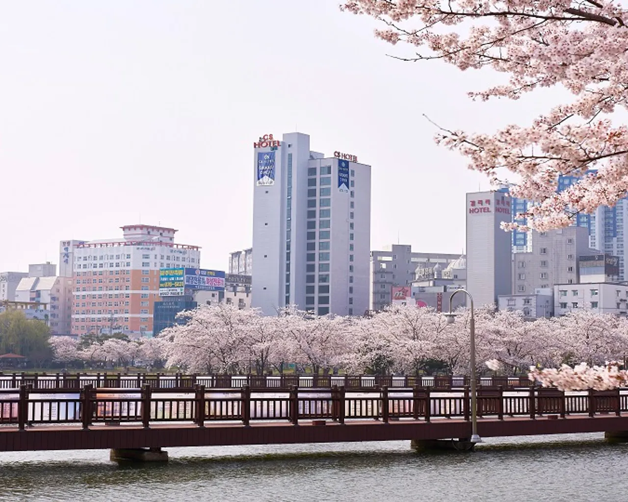 대표 사진