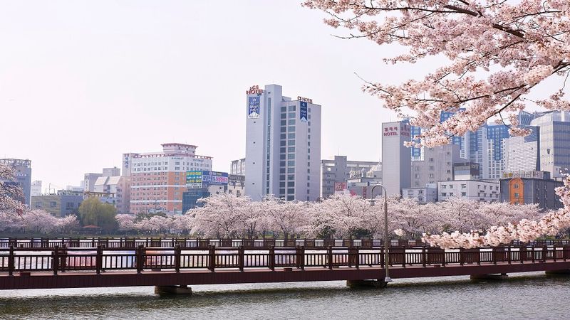 대표사진