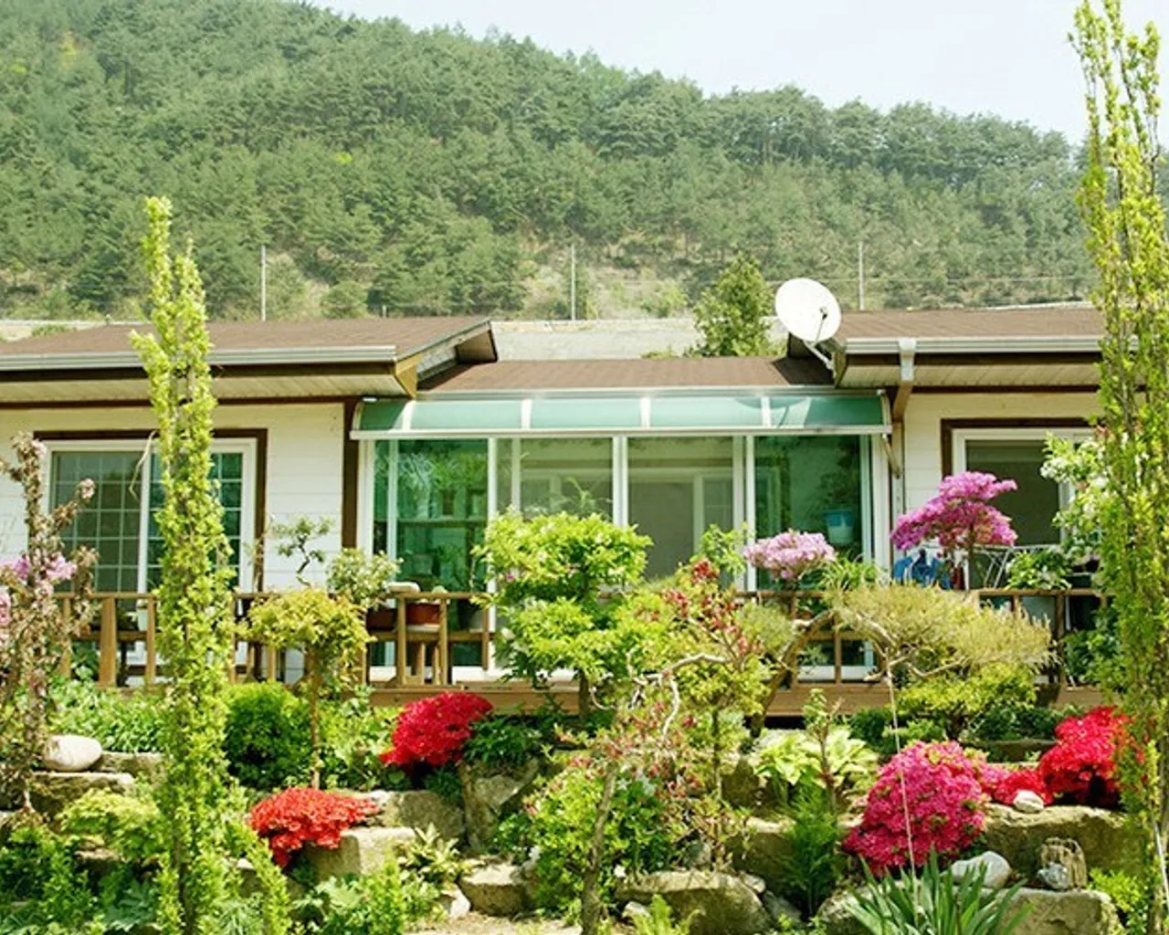 대표 사진