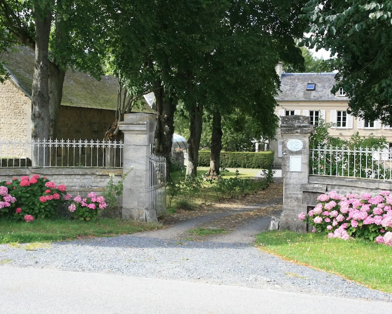 기본 이미지