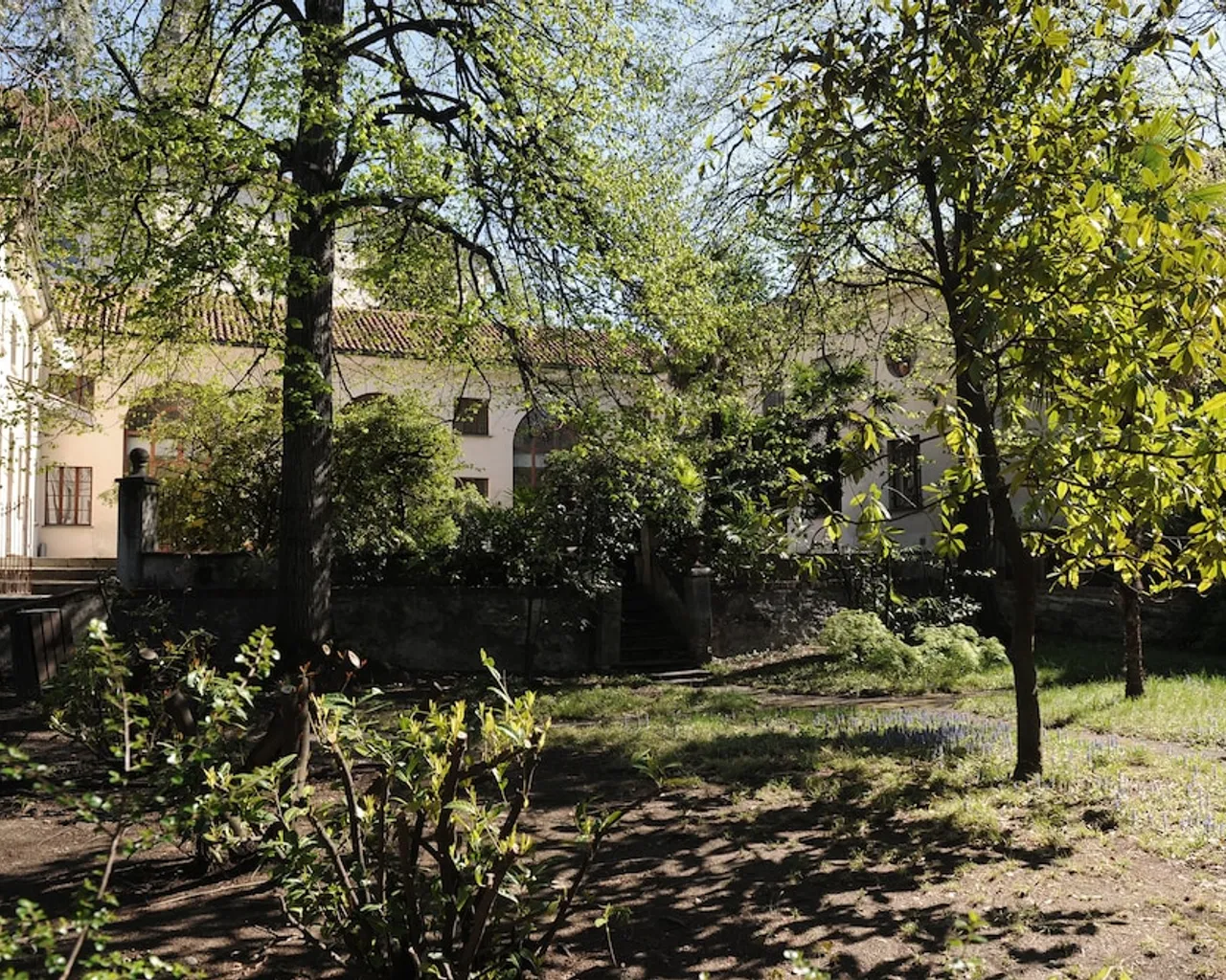 기본 이미지