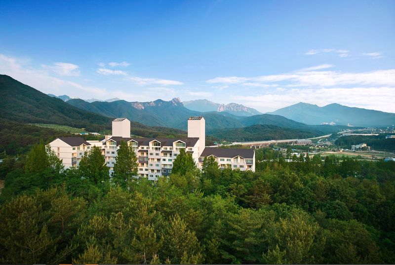 전경