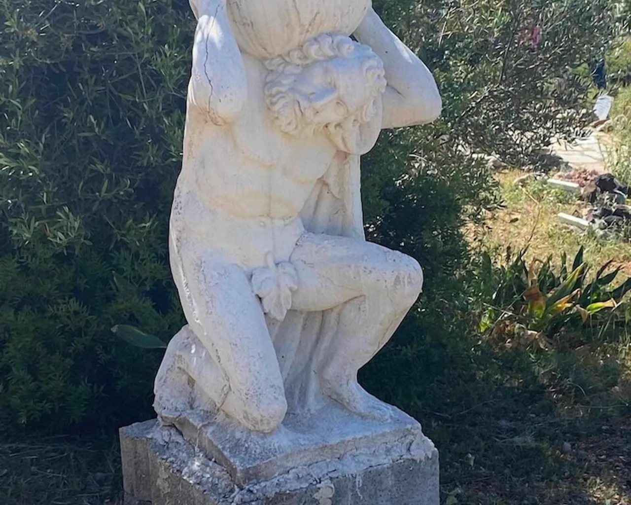 기본 이미지