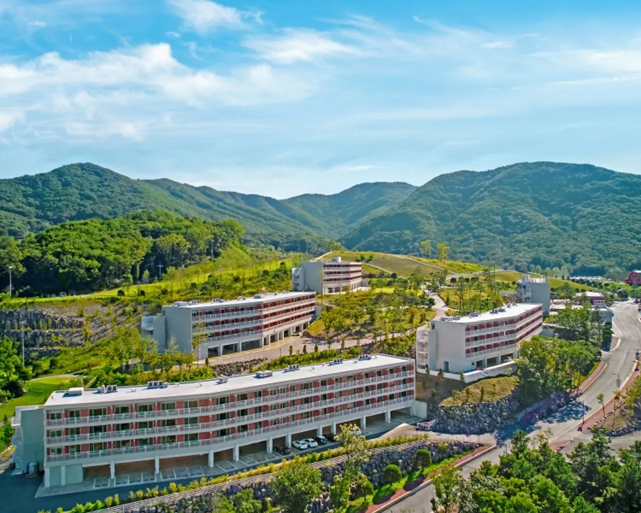 대표 사진