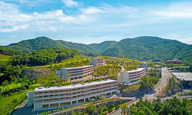 대표사진