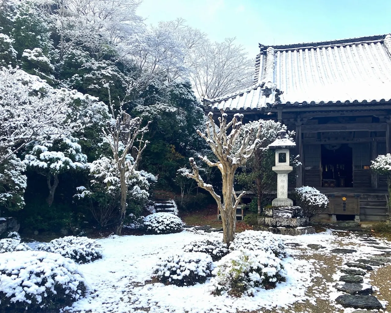 기본 이미지