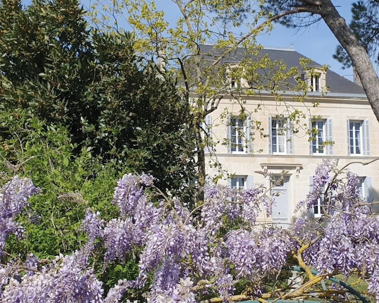 기본 이미지