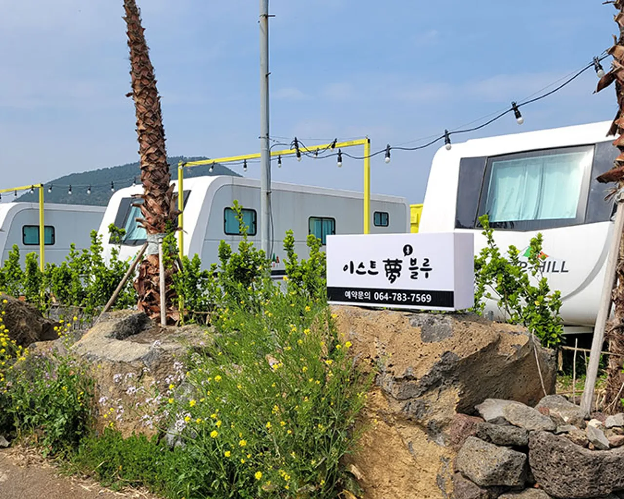 대표 사진