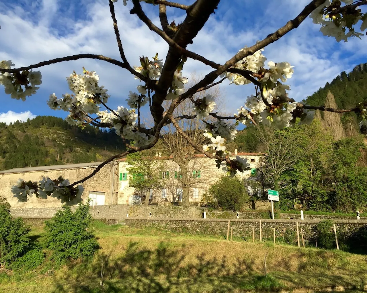기본 이미지