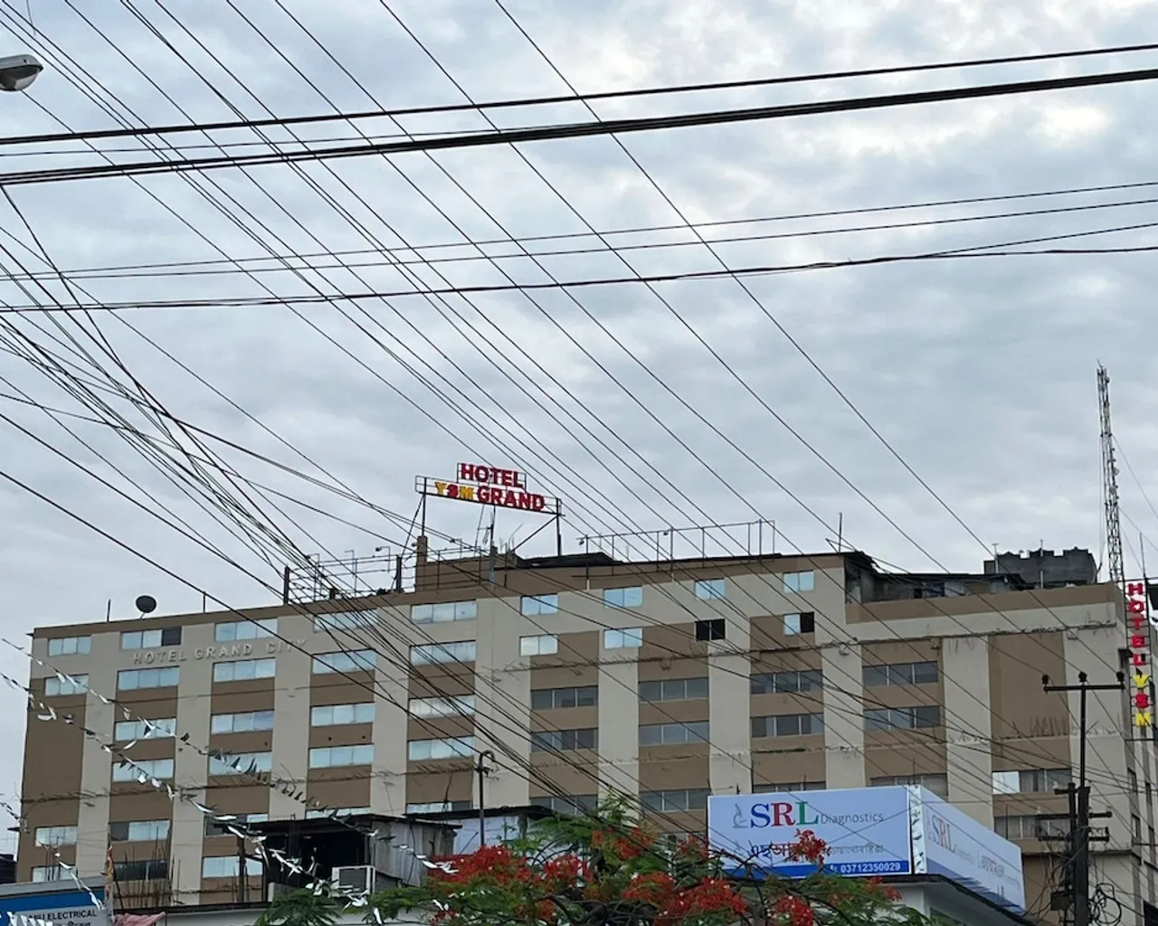 기본 이미지