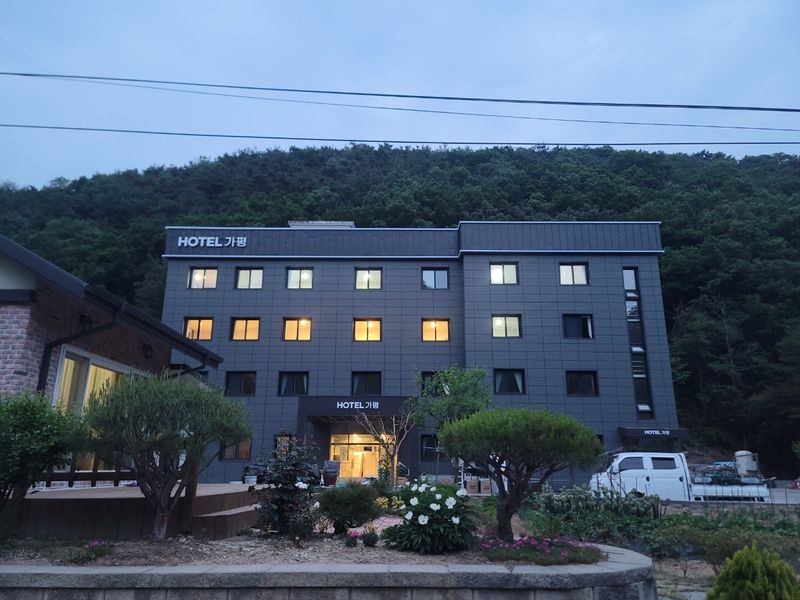 기타