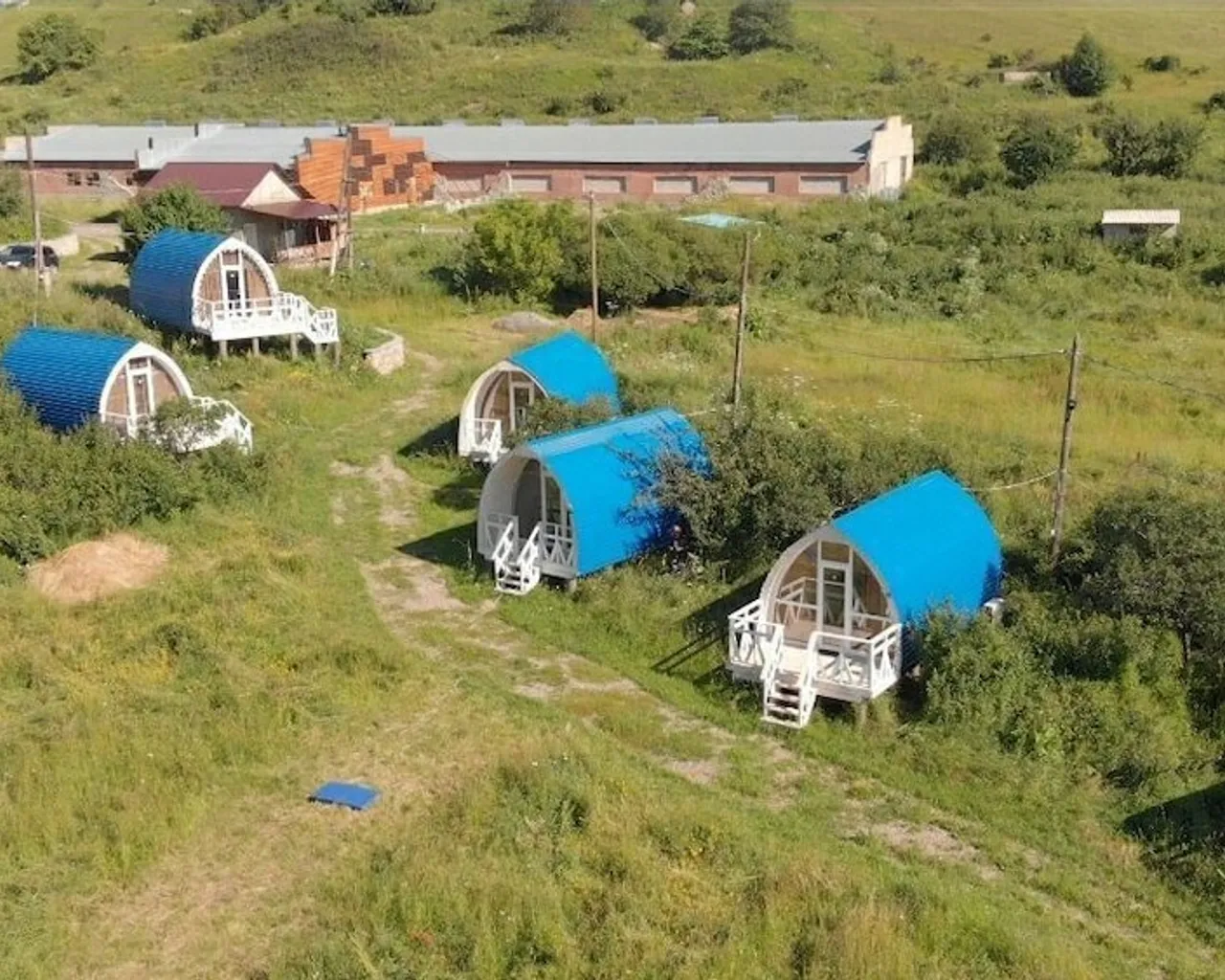 기본 이미지