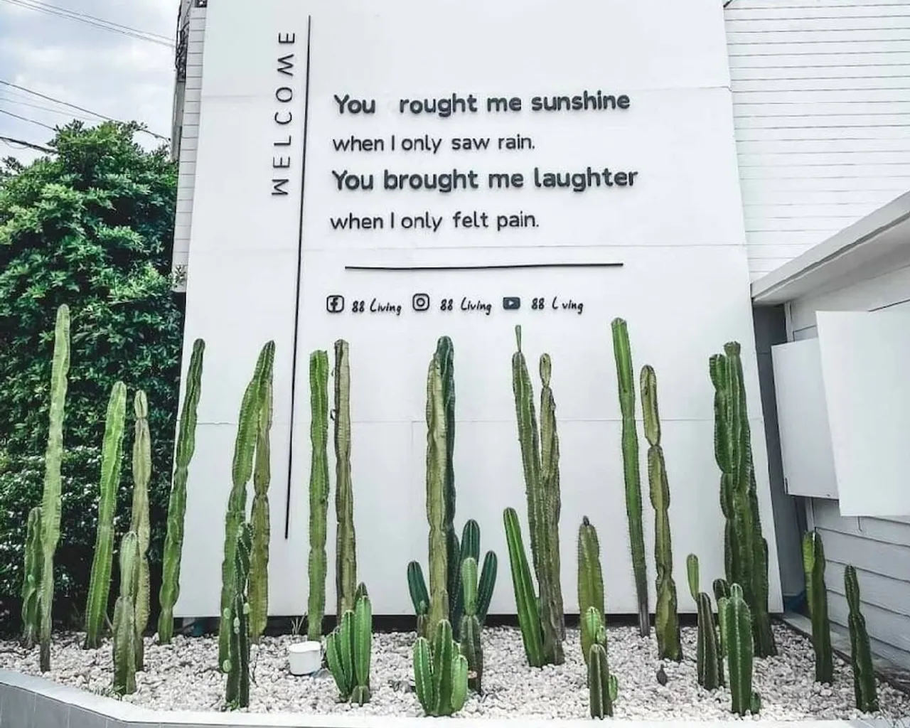 기본 이미지