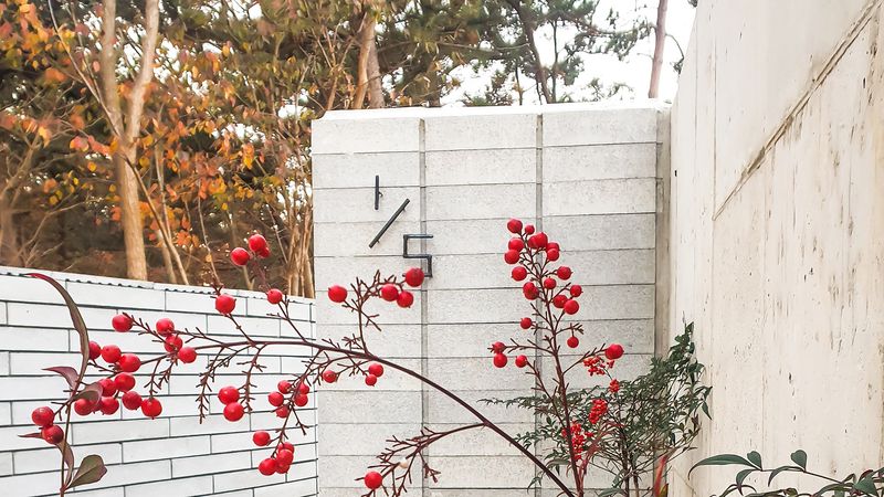 전경