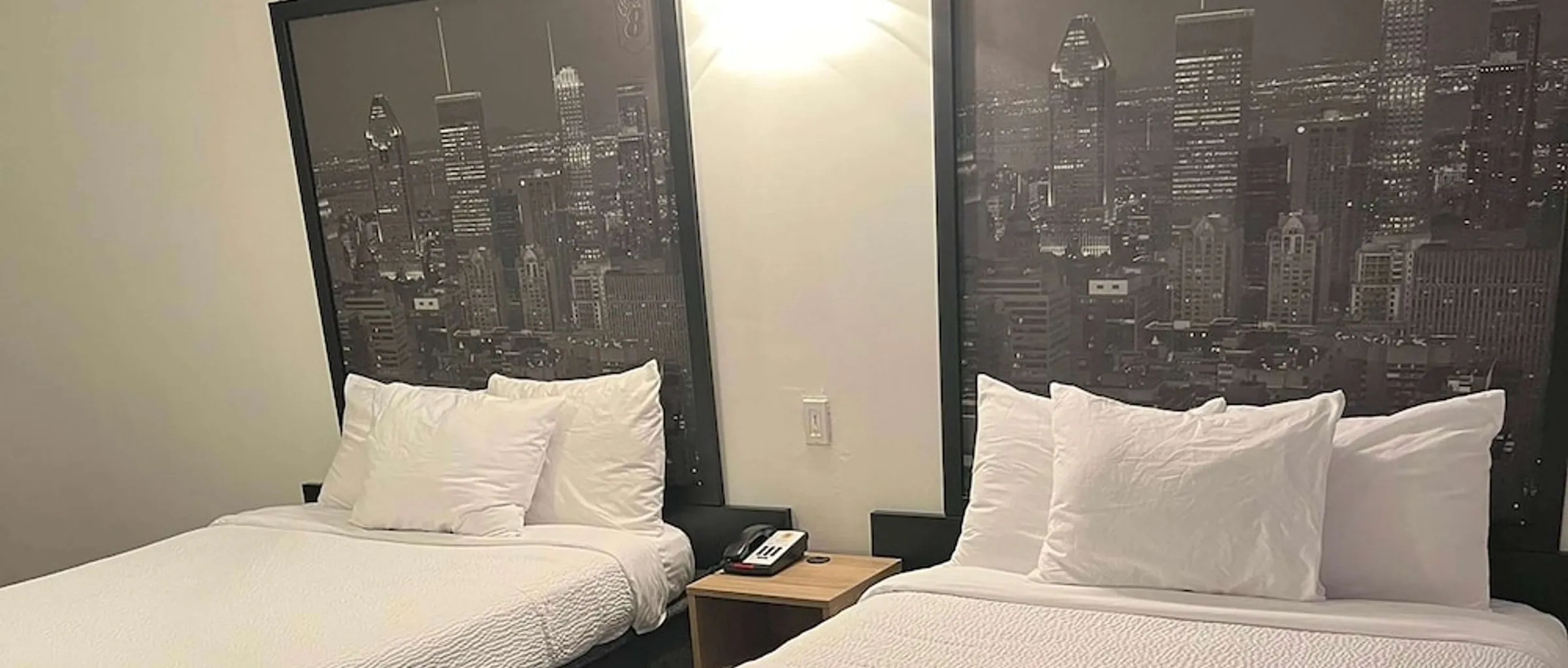 기본 이미지