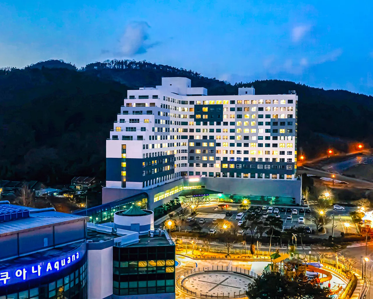 대표 사진