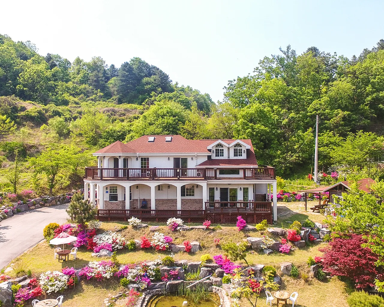 대표 사진